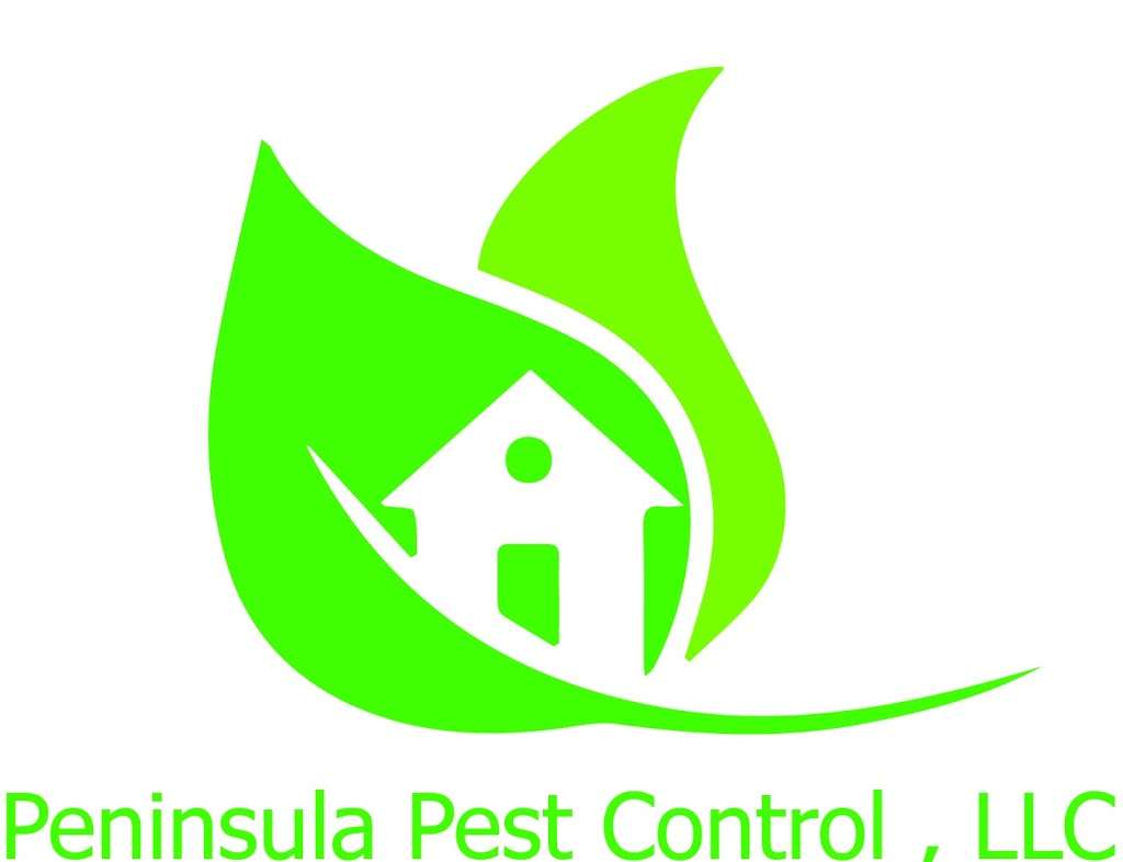 Peninsula Pest Control, LLC | 2713 NE 27th St, Lighthouse Point, FL 33064 | Phone: (561) 768-3058