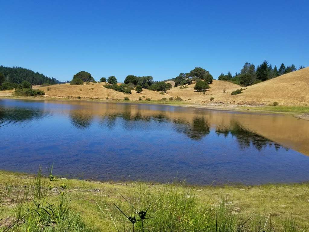 Mount Tamalpais Watershed | 49 Sky Oaks Rd, Fairfax, CA 94930 | Phone: (415) 945-1180