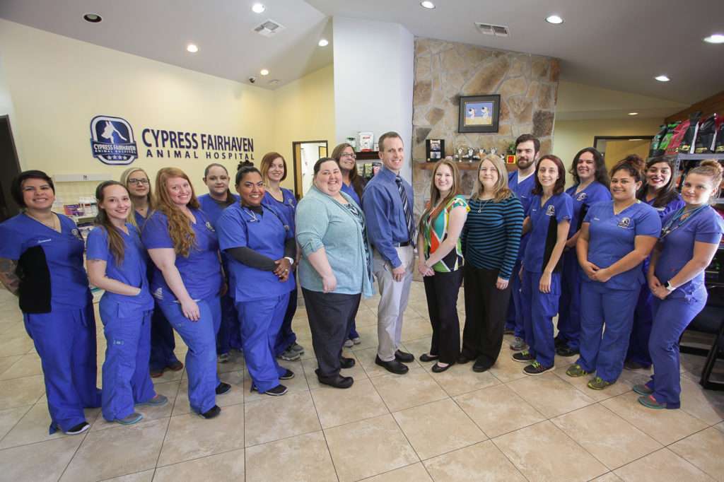 Cypress Fairhaven Animal Hospital | 15820 Mueschke Rd, Cypress, TX 77433, USA | Phone: (281) 256-8085