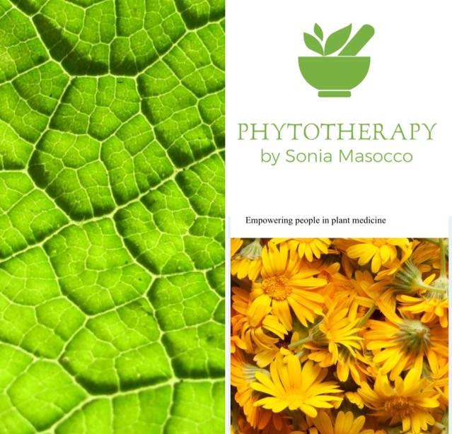 Sonia Masocco Phytotherapy | 11930 Menaul Blvd NE Suite 219, Albuquerque, NM 87112, USA | Phone: (505) 296-5737