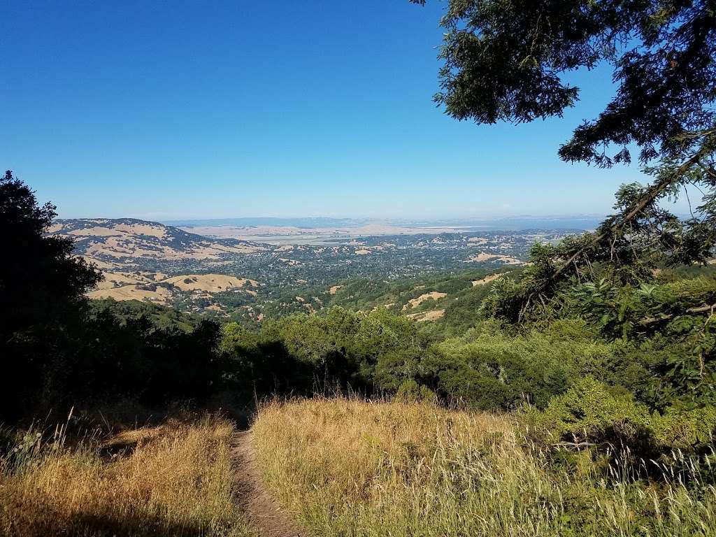 Mt Burdell Hike | 538-598 San Andreas Dr, Novato, CA 94945, USA