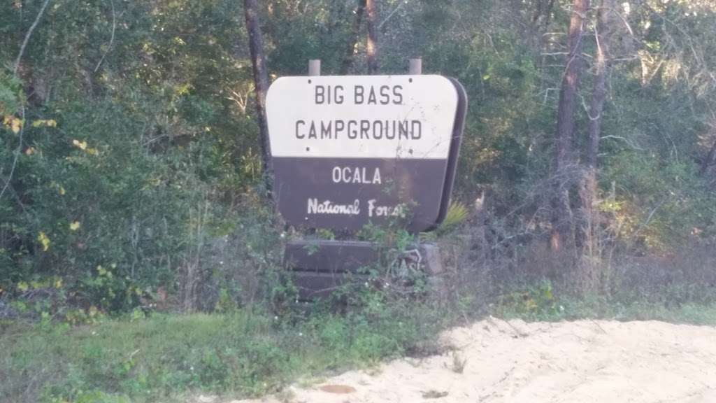 Big Bass Campground | Umatilla, FL 32784, USA | Phone: (352) 669-7495