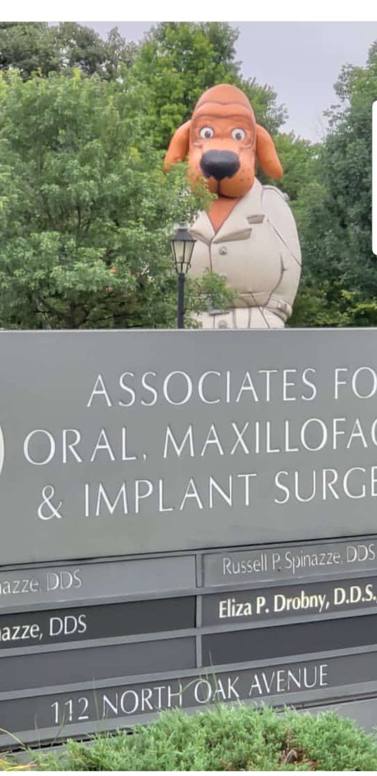 Associates for Oral, Maxillofacial and Implant Surgery Ltd | 112 N Oak Ave, Bartlett, IL 60103 | Phone: (630) 289-5002