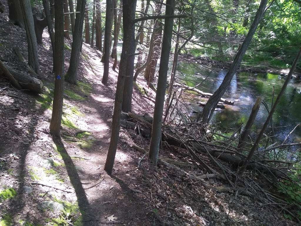 Michael P. Yellick Conservation Area | NBOR-035.0-0036, Northborough, MA 01532, USA