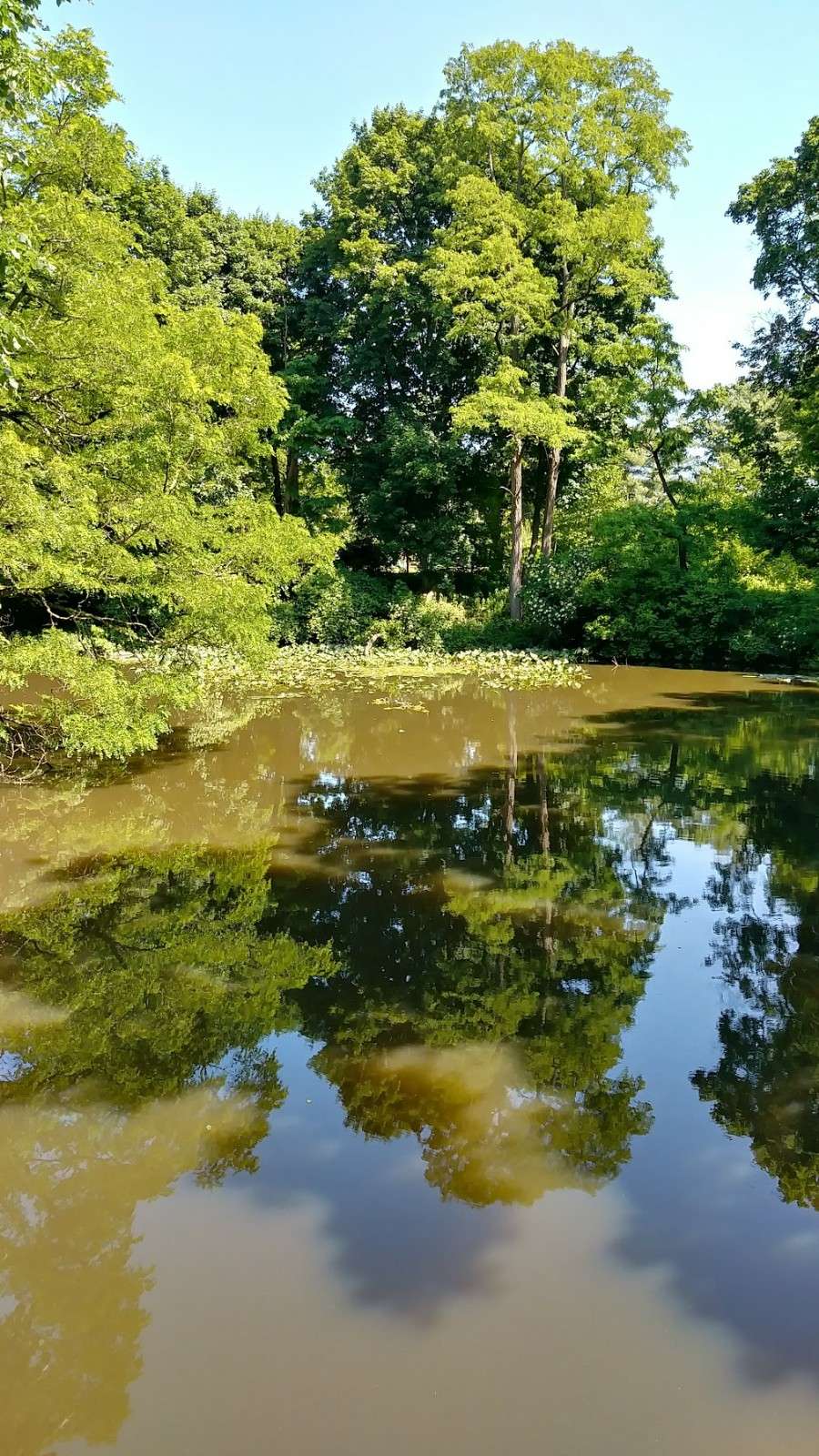 Algernon Sydney Sullivan Fountain | John Kieran Nature Trail &, Van Cortlandt Park South, Van Cortlandt Ave W, The Bronx, NY 10471