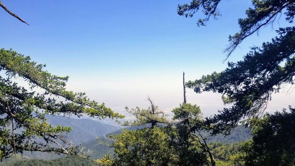 Rim Trailhead | Rim Trail, Mt Wilson, CA