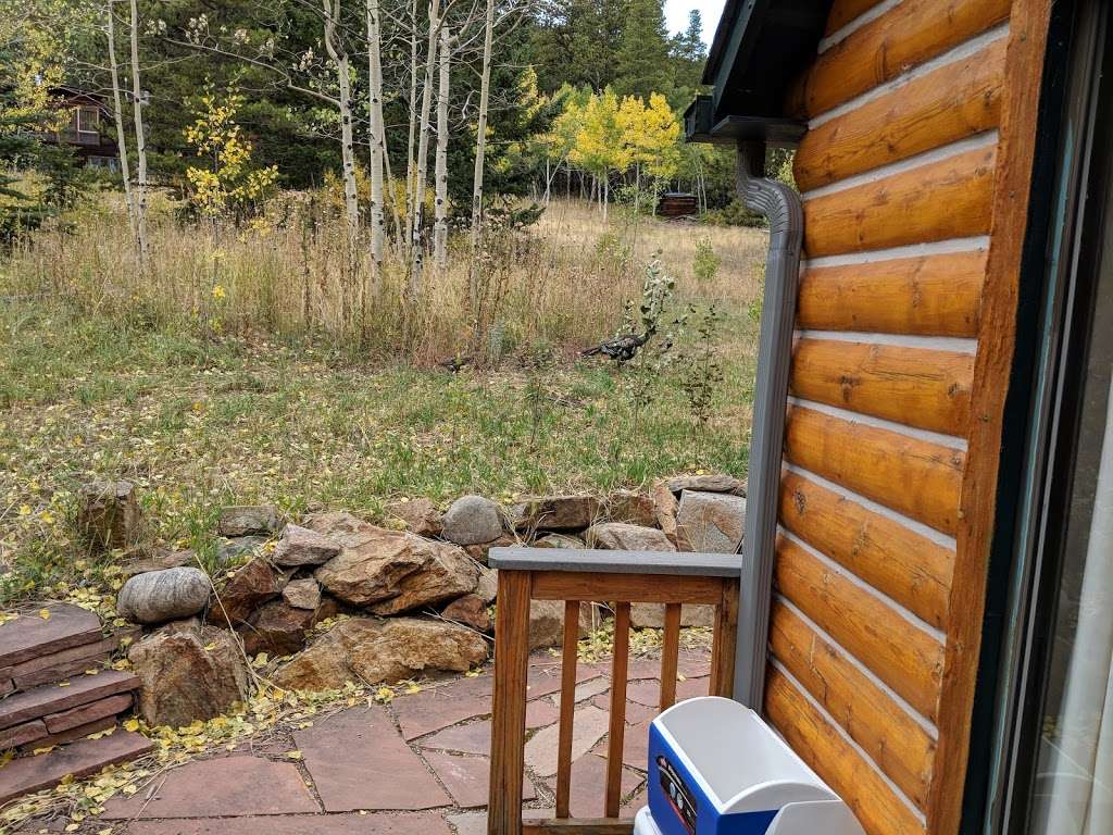 Aspen Mountain Cabin | 205 Ironclad View Rd, Allenspark, CO 80510, USA | Phone: (419) 346-6465