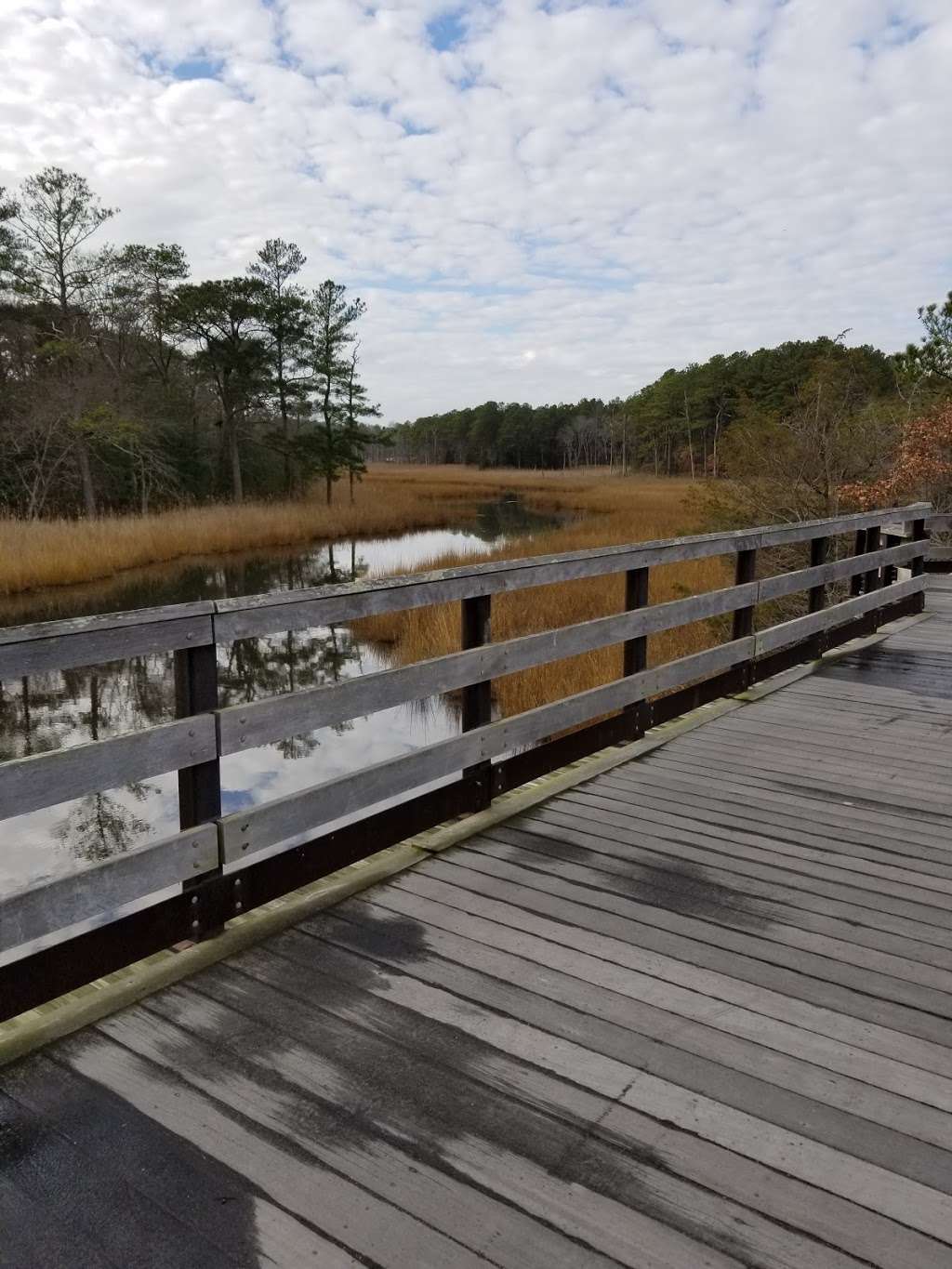 Junction and Breakwater Trail, Lewes trailhead | 300 Gills Neck Rd, Lewes, DE 19958, USA