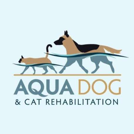 Aqua Dog and Cat Rehabilitation, LLC | 24C Bartley Rd, Flanders, NJ 07836, USA | Phone: (973) 927-0030