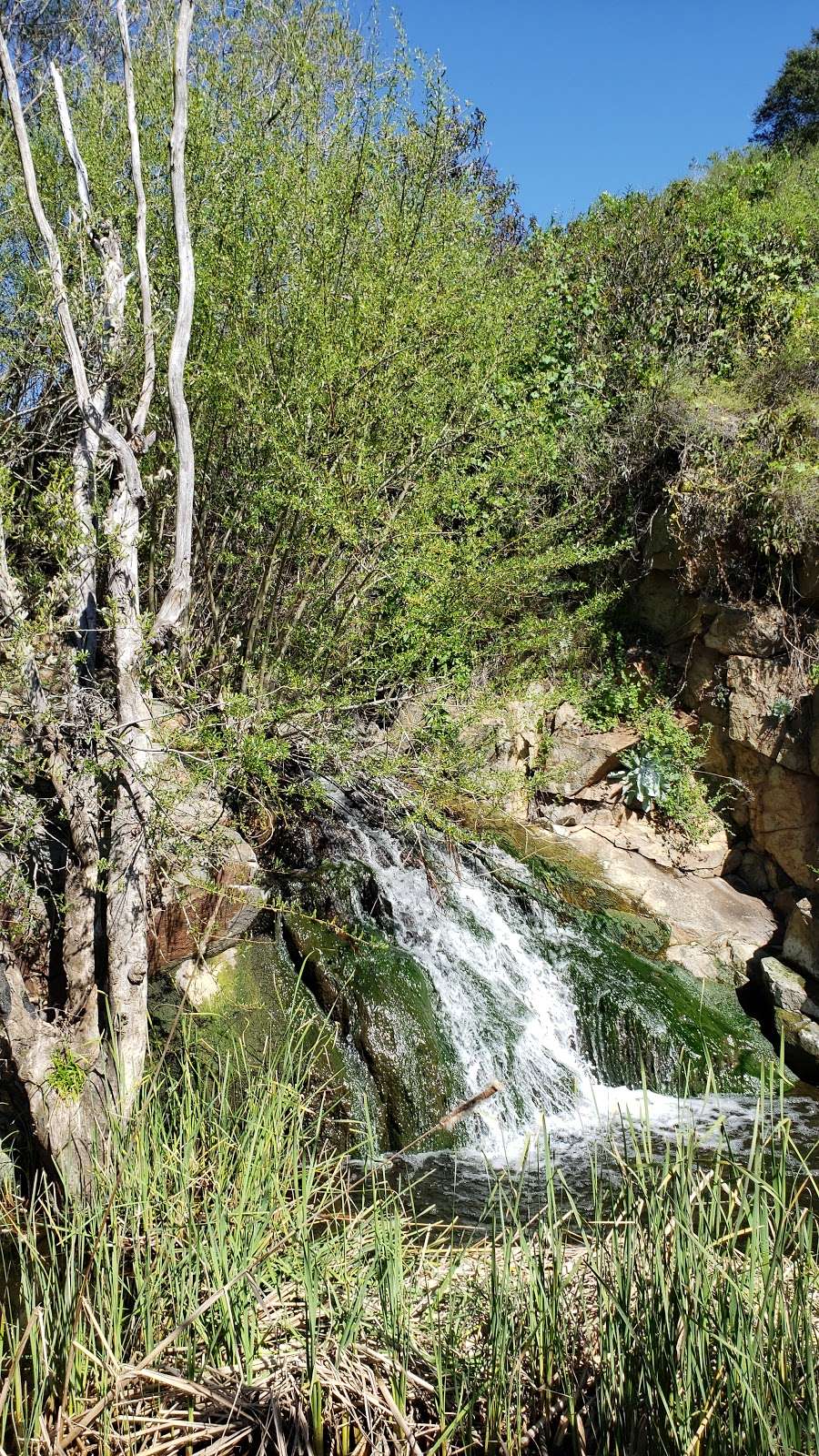 Coppers Creek Falls | Unnamed Road, Carlsbad, CA 92009, USA