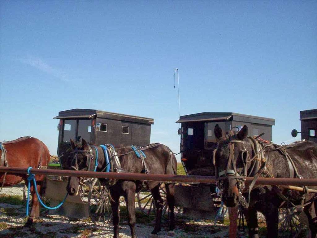 Jamesport Amish Tours | Broadway St, Jamesport, MO 64648, USA | Phone: (660) 684-6174