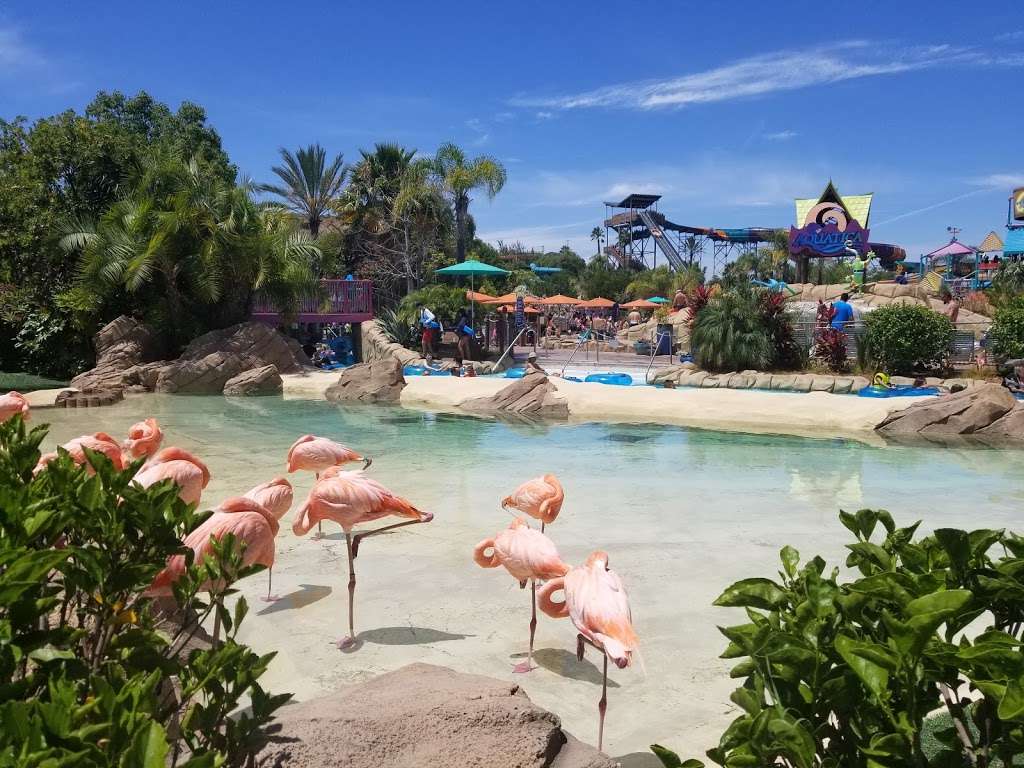 Aquatica San Diego | 2052 Entertainment Cir, Chula Vista, CA 91911, USA | Phone: (619) 222-4732