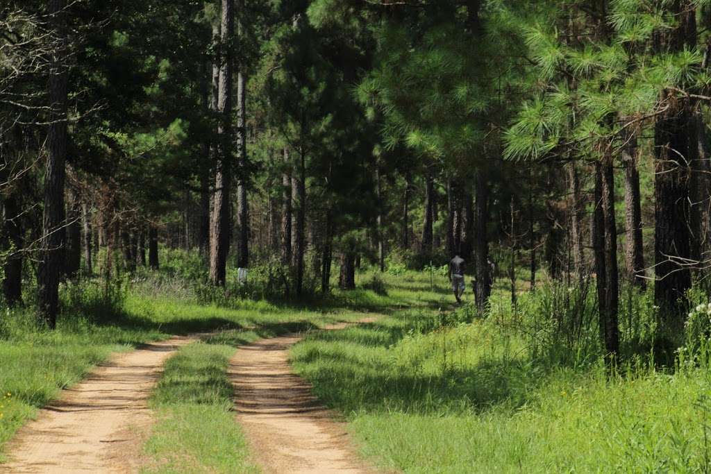 West Fork of Goose Creek Park | N Robert C Lanier Dr, Baytown, TX 77521