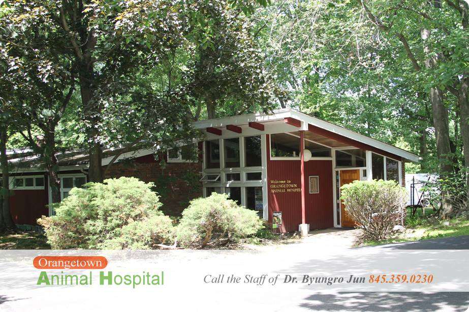 Orangetown Animal Hospital | 564 NY-303, Blauvelt, NY 10913, USA | Phone: (845) 359-0230