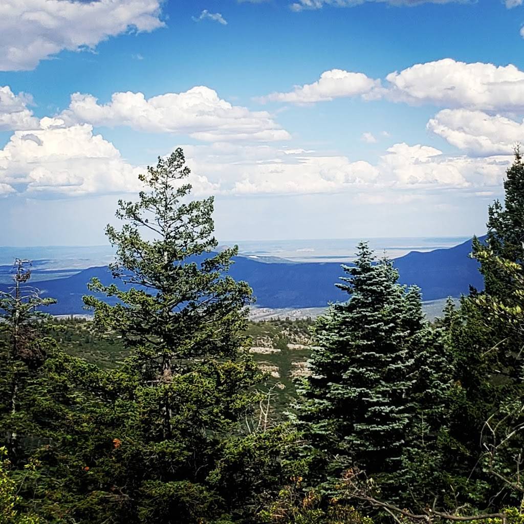 Tree Springs Trailhead | NM-536, Cedar Crest, NM 87008, USA | Phone: (505) 346-3900