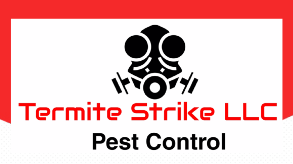 Termite Strike LLC | 2716 NW 56th St, Miami, FL 33142, USA | Phone: (305) 926-5825