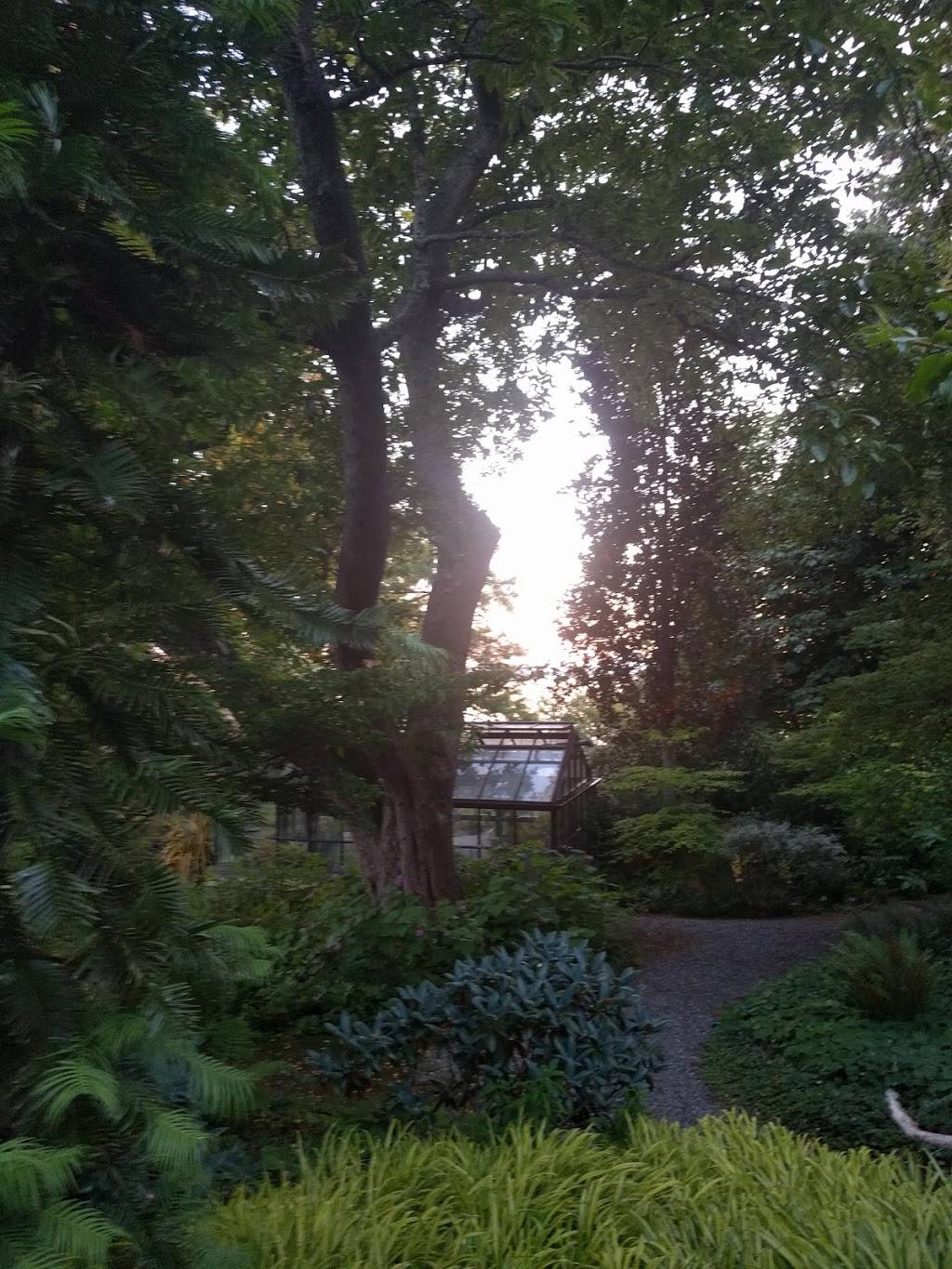 Elisabeth Carey Miller Botanical Garden | 14823 Boundary Ln, Shoreline, WA 98177 | Phone: (206) 362-8612