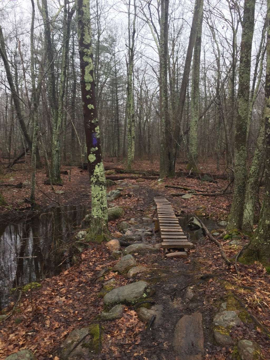 Snake Den State Park Trailhead Parking | 2289 Hartford Ave, Johnston, RI 02919, USA