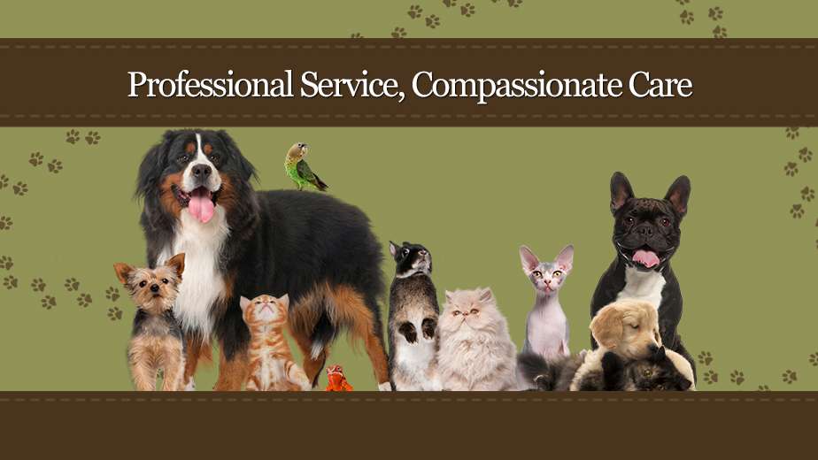 Arapahoe Animal Hospital | 5585 Arapahoe Ave, Boulder, CO 80303, USA | Phone: (303) 442-7033