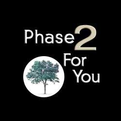 Phase 2 For You | 23450 W Newhaven Dr, Hawthorn Woods, IL 60047, USA | Phone: (847) 612-5182