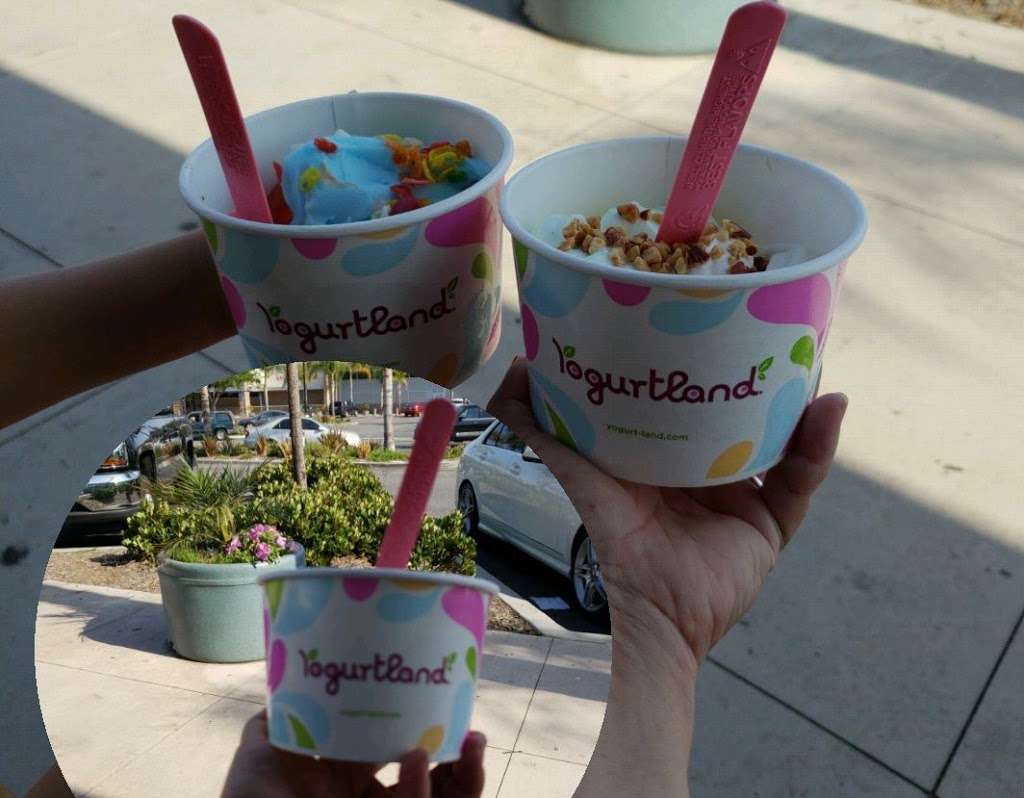 Yogurtland | 1670 East Gonzalez Road, Oxnard, CA 93030, USA | Phone: (805) 485-6805