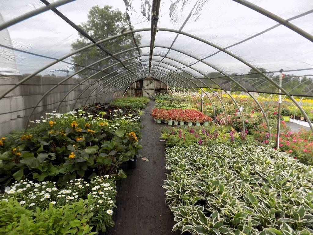 Arbor Farms Nursery | 12515 Coldwater Rd, Fort Wayne, IN 46845, USA | Phone: (260) 637-5816