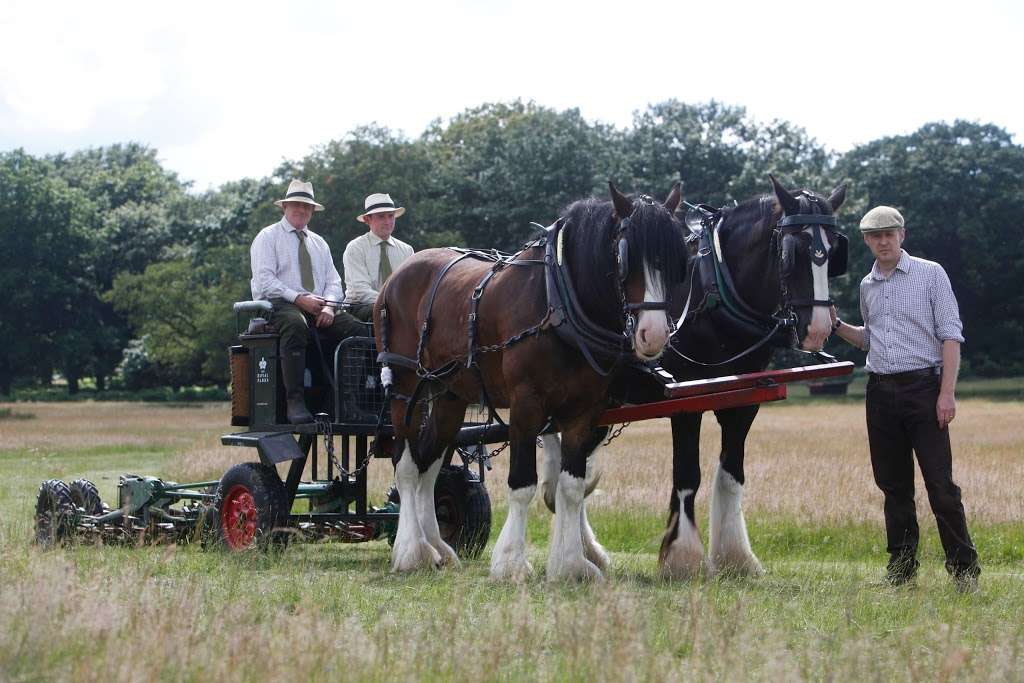 Operation Centaur | Holly Lodge, Richmond TW10 5HS, UK