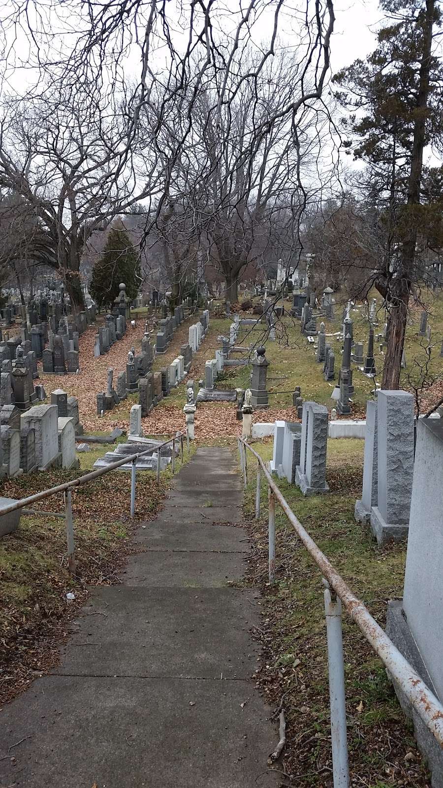 Machpelah Cemetery | 8230 Cypress Hills St, Ridgewood, NY 11385 | Phone: (718) 366-5959