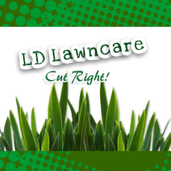 LD Lawncare | 4126 Glacier Pl, Quartz Hill, CA 93536, USA | Phone: (661) 674-9774