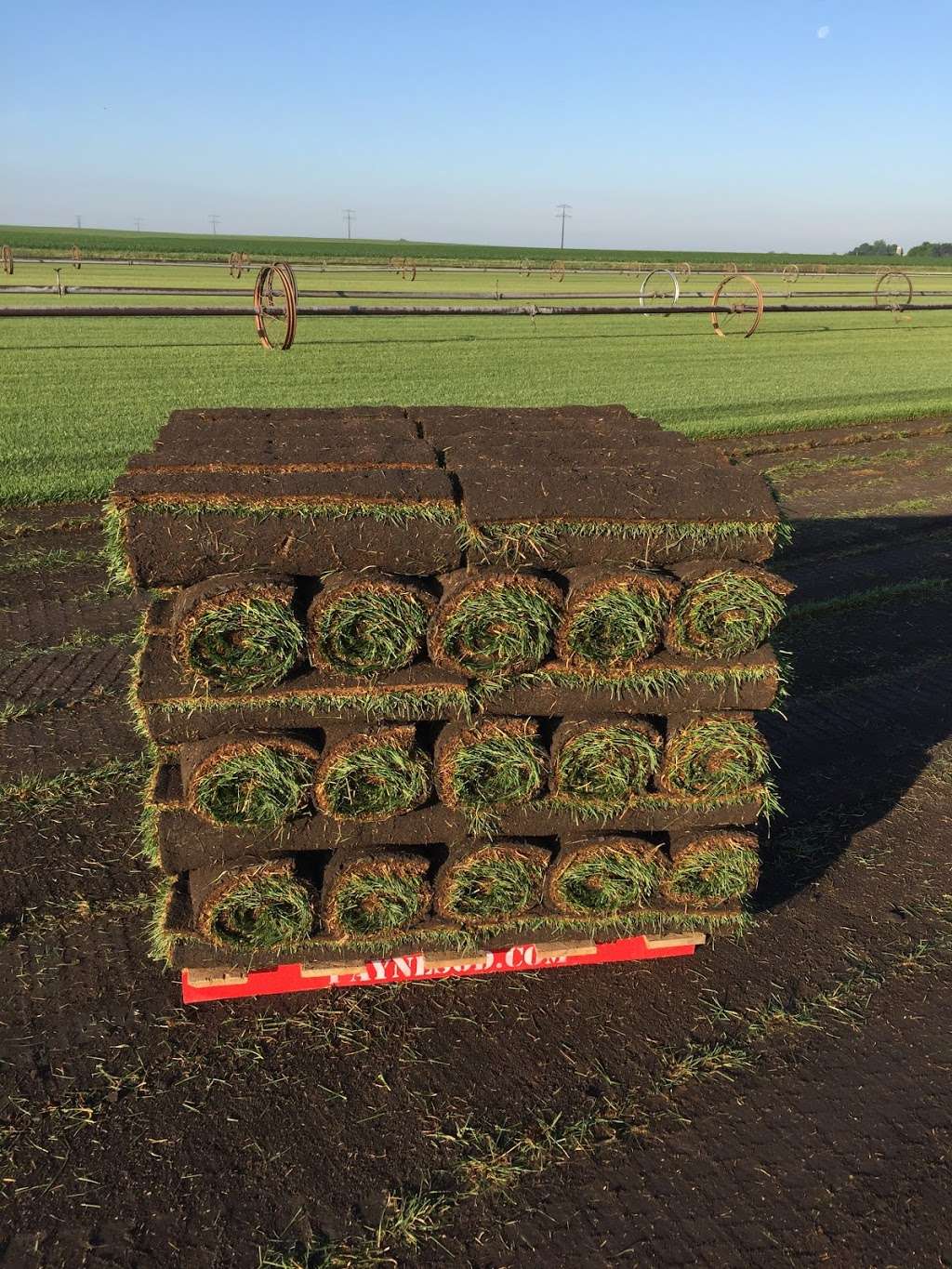 Payne Sod Farm | 8332 N 2250W Rd, Manteno, IL 60950, USA | Phone: (815) 468-6400