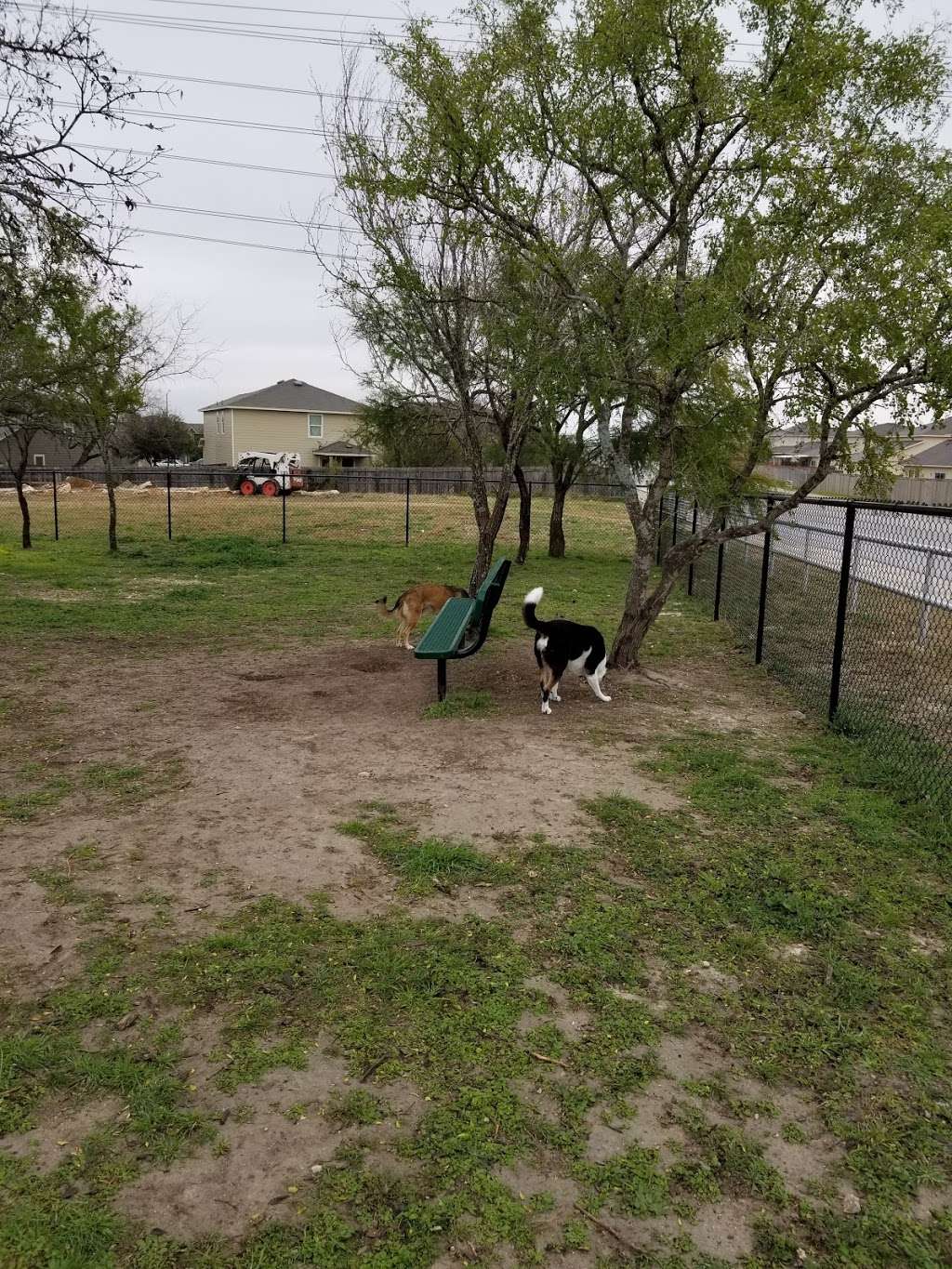 MWD Nemo Memorial Dog Park | 2030 Laurel Pathway, San Antonio, TX 78245, USA | Phone: (210) 561-0606