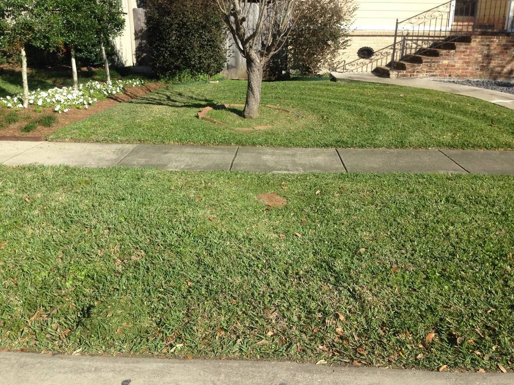 Louisianas Own Lawn Care | 6399 West End Blvd, New Orleans, LA 70124, USA | Phone: (504) 510-7571