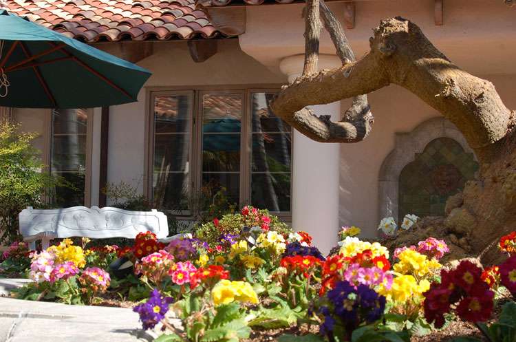 Casa Palmera | 14750 El Camino Real, Del Mar, CA 92014, USA | Phone: (888) 481-4481