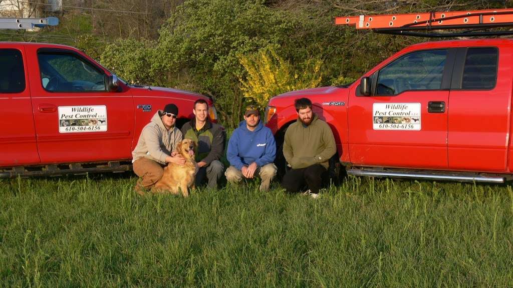 A1 Wildlife Pest Control LLC | 450 Cedar Rd, Bangor, PA 18013 | Phone: (610) 504-6156