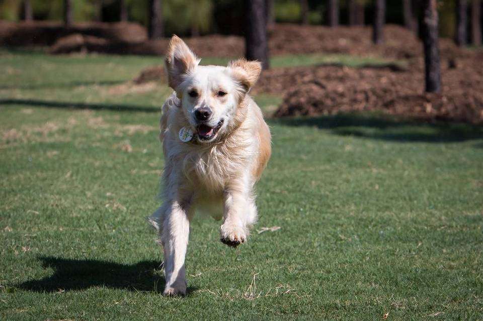 Anne Springs Close Greenway | 104 Adventure Rd, Fort Mill, SC 29715, USA | Phone: (803) 547-4575