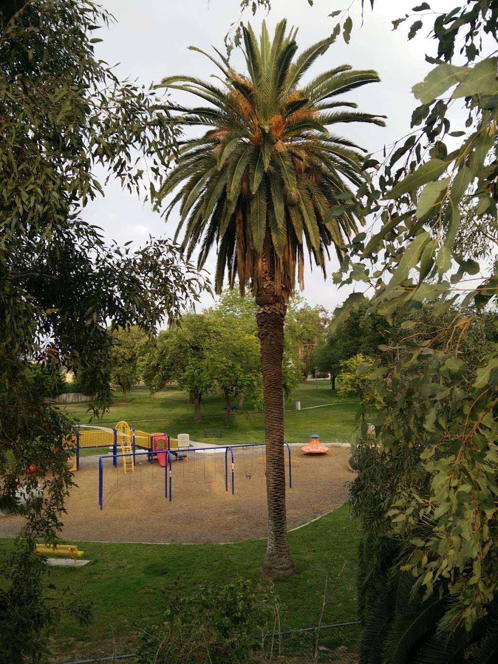 Elmer Digneo Park | Loma Linda, CA 92354 | Phone: (909) 799-2800