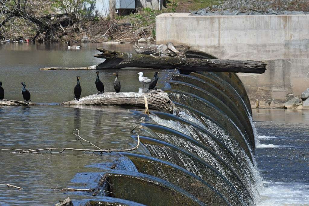 Delaware and Raritan Canal State Park Trail | Delaware and Raritan Canal State Park Trail, Princeton, NJ 08540, USA