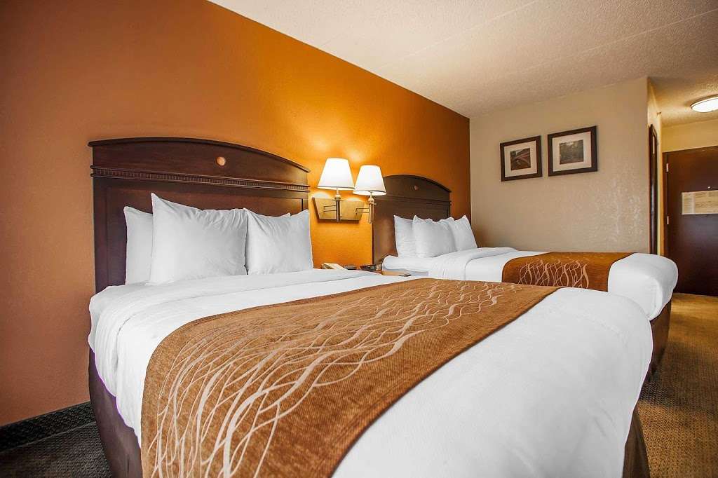 Comfort Inn & Suites | 255 Davidson Ave, Somerset, NJ 08873, USA | Phone: (732) 563-1600