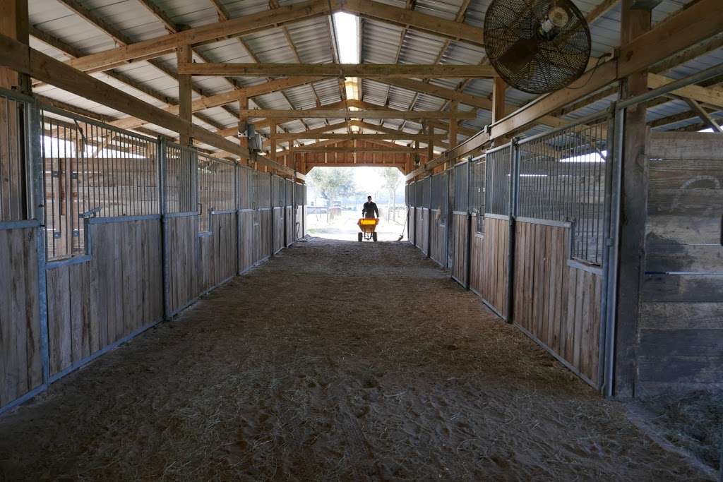 Deep Creek Stables | 2270 S Co Rd 3, Pierson, FL 32180, USA | Phone: (386) 985-0520