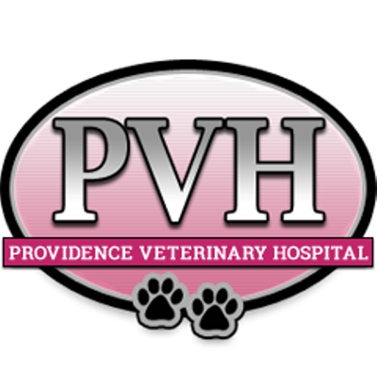Providence Veterinary Hospital | 2400 Providence Ave, Chester, PA 19013, USA | Phone: (610) 872-4000