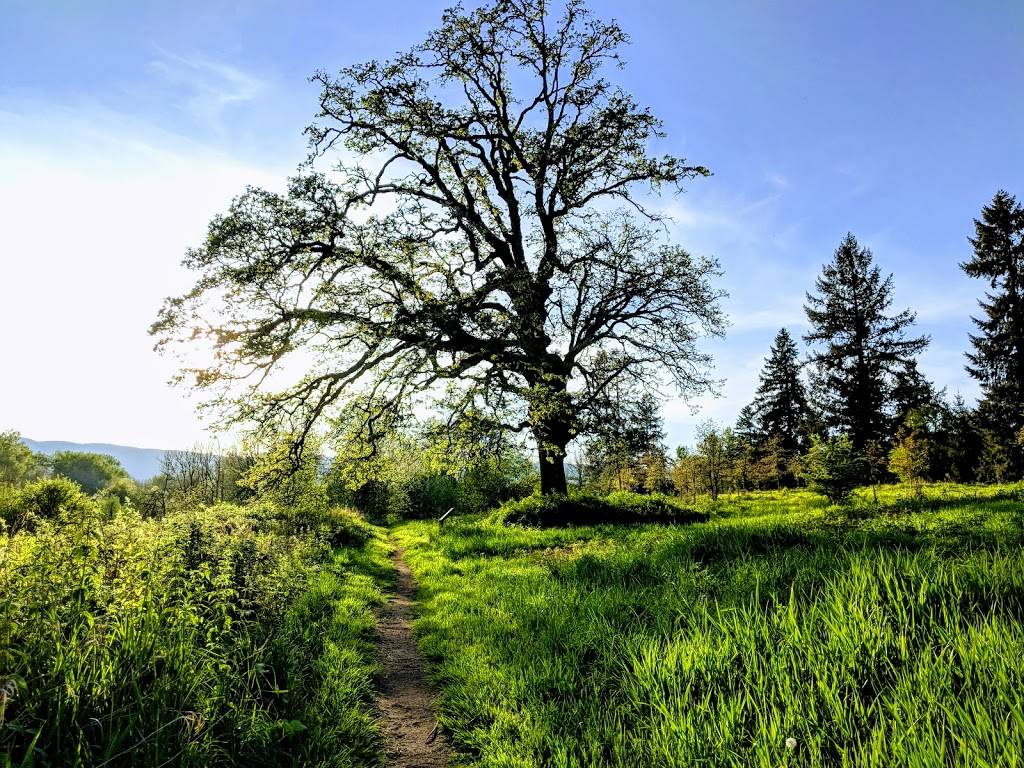 Wapato Access Greenway State Park | 18846 NW Sauvie Island Rd, Portland, OR 97231, USA | Phone: (503) 445-0991