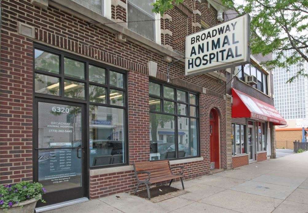 Broadway Animal Hospital | 6320 N Broadway, Chicago, IL 60660, USA | Phone: (773) 262-5445