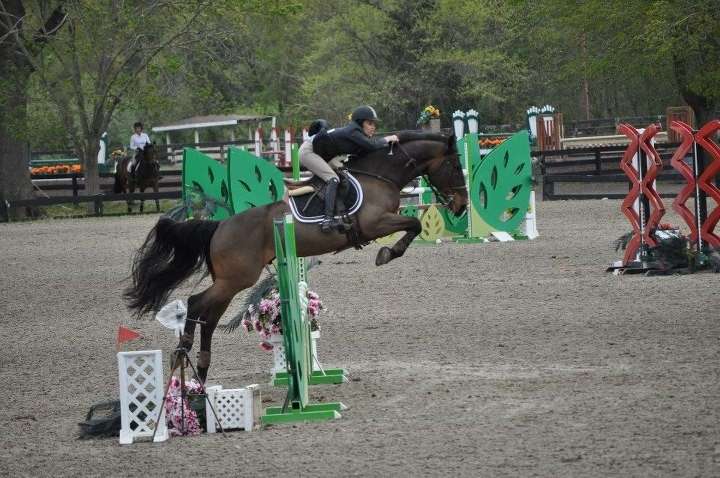 South Jersey Equestrian Center, LLC | 712 Barretts Run Rd, Shiloh, NJ 08353 | Phone: (877) 753-7268