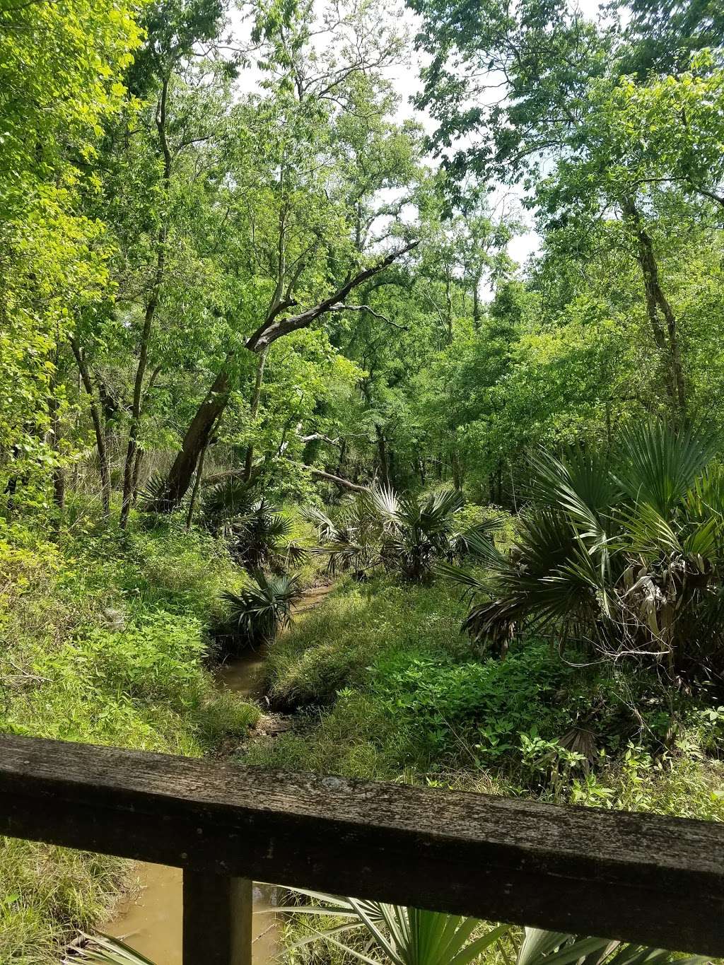 Hanson Riverside County Park (day use) | TX-35, West Columbia, TX 77486, USA