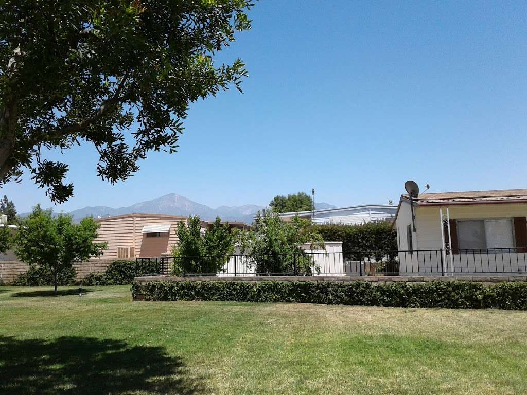 Orange Grove Mobile Estates | 626 N Dearborn St, Redlands, CA 92374, USA | Phone: (909) 794-2615