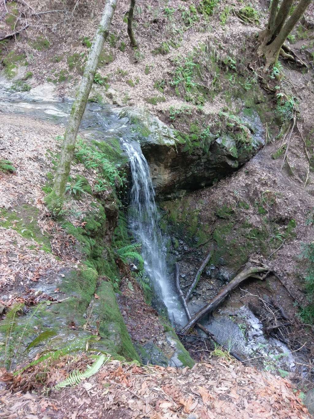 Baltimore Canyon Open Space Preserve | Blithedale Ridge Rd, Kentfield, CA 94904, USA