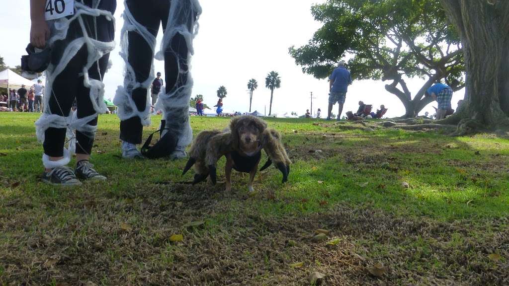 HAUTE DOG HOWLOWEEN PARADE | E Marina Dr, Long Beach, CA 90803, USA