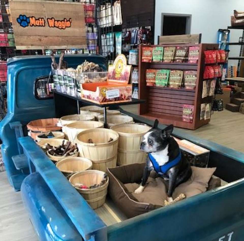 Mutt Waggin Pet Supplies | 80 Taunton St, Plainville, MA 02762 | Phone: (508) 316-0708