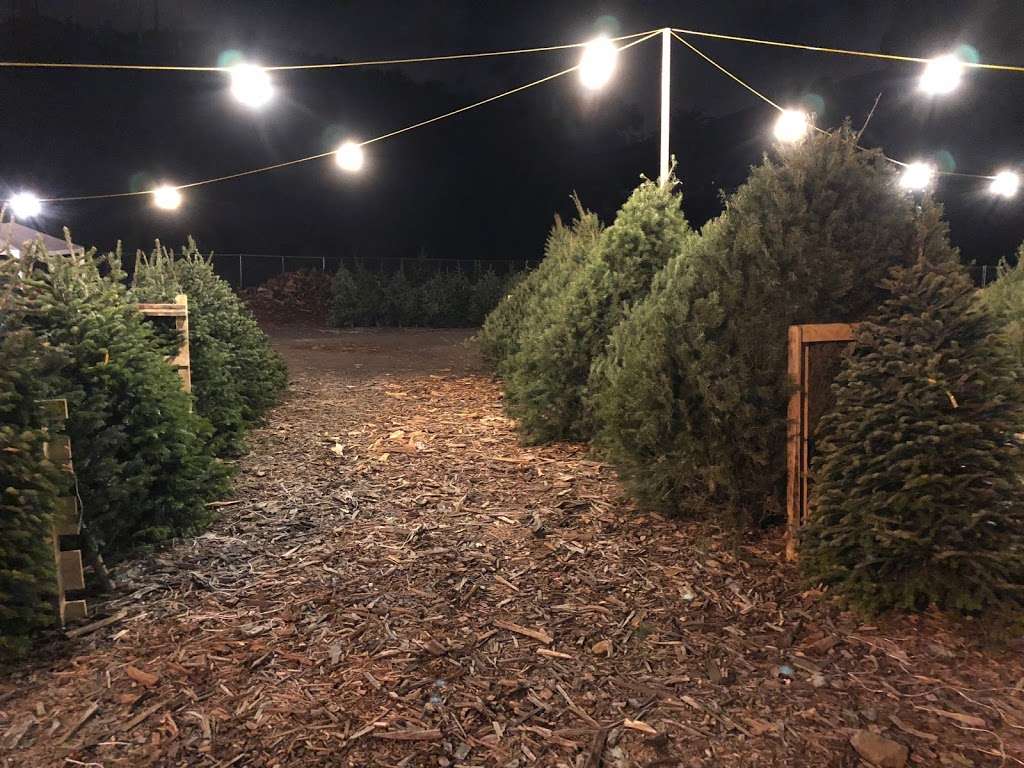 Grinchs Christmas Trees | 10060 Carmel Mountain Rd, San Diego, CA 92129, USA | Phone: (619) 356-0773