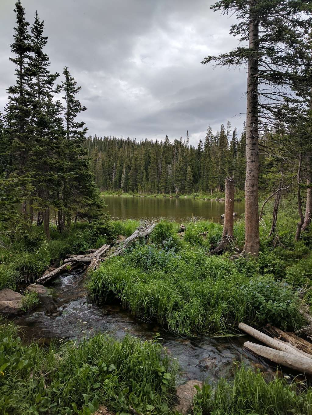 Forest Lakes Trailhead | Rollins Pass Rd, Nederland, CO 80466, USA | Phone: (303) 541-2500